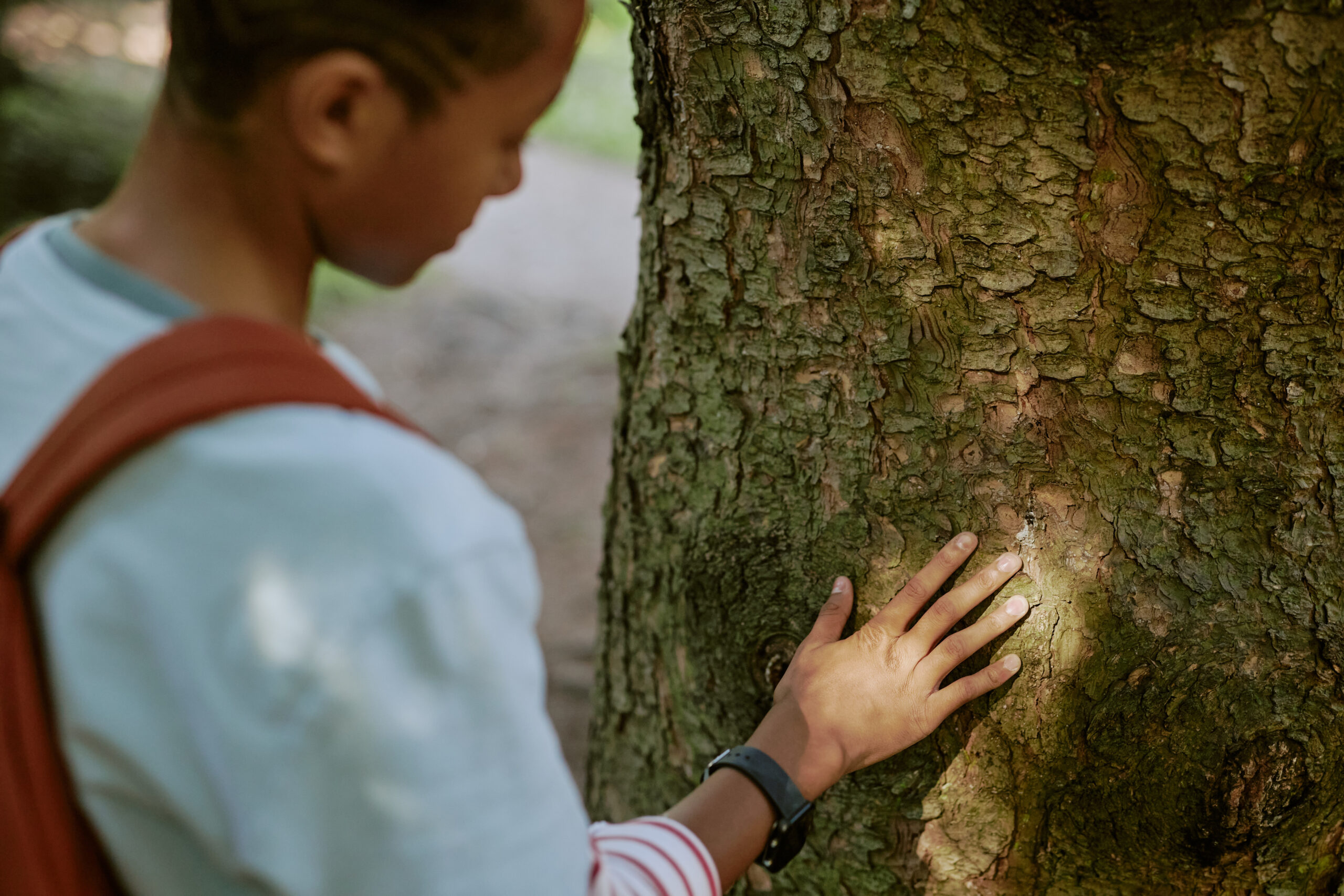 High angle view of Black teenager touching surface of old tree trunk in local park or botanical garden