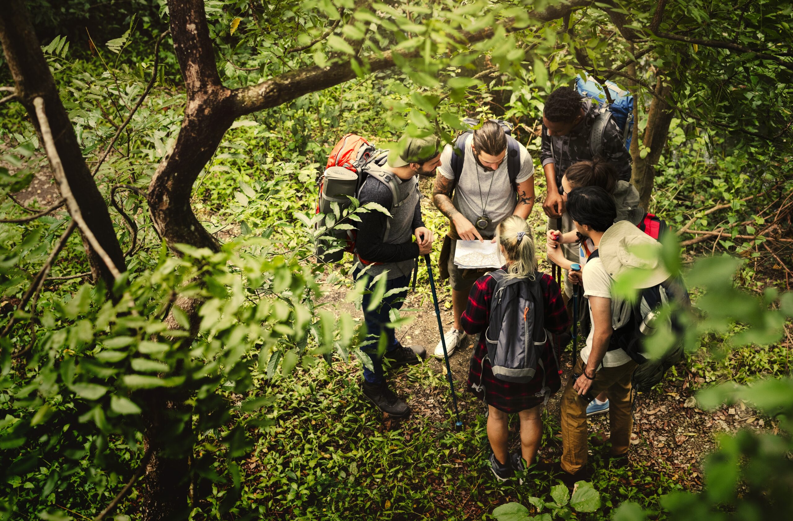 Trekking together in a forest